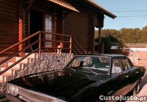 imagem_1
