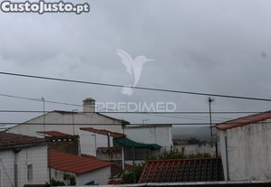 imagem_13