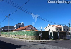 imagem_22