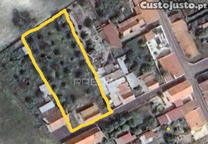 imagem_7