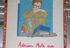 Adrian Mole na crise da adolescência, de Sue Townsend.