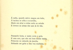 imagem_7