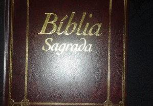 Bíblia Sagrada - Volume I