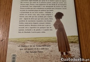 imagem_2