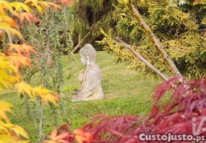 imagem_11