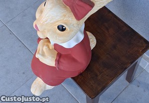 imagem_4