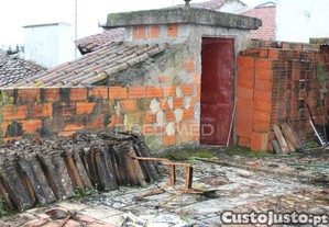 imagem_16