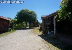 imagem_16
