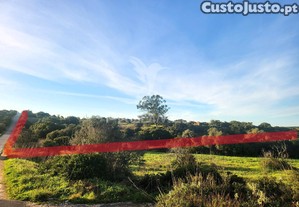 imagem_10