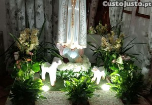 imagem_1