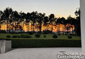 imagem_23