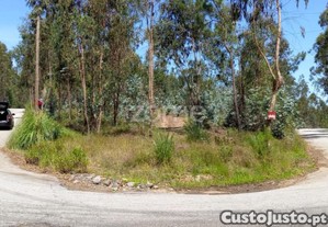 Terreno Florestal 20000 M2 Em Vilarinho Das Cambas