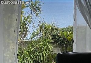 imagem_11