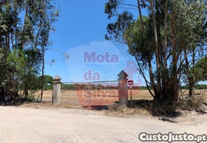 imagem_11