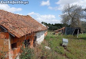 imagem_20