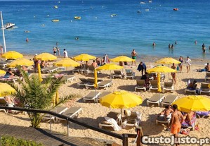 imagem_12