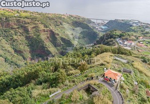 Terreno com ruina no caniço ilha da madeira