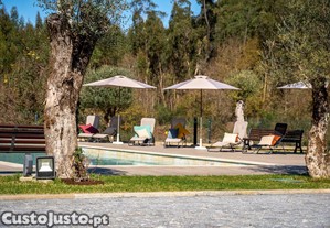 imagem_21