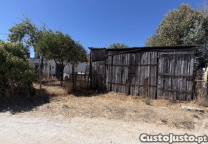 imagem_29