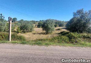 Terreno Agrícola em Colmeias e Memória