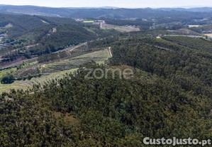 Terreno Rústico - 35.600M2 - Cedões - Trofa