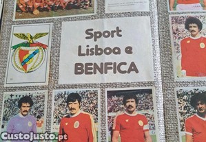 imagem_3