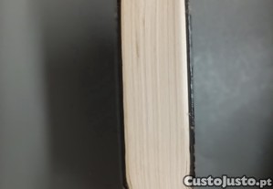imagem_3