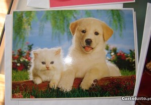 imagem_7