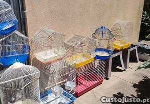 Procura: Troc gaiolas por vrios tipos aves ou outro