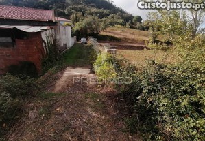 imagem_8