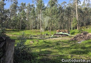 imagem_15