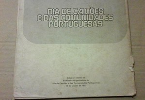 imagem_3