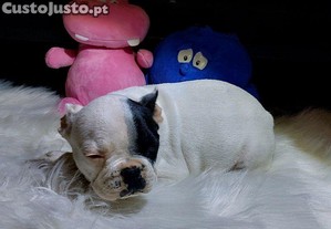 imagem_6