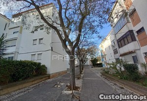 imagem_15