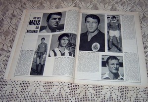 imagem_3