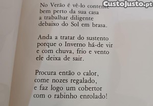 imagem_7