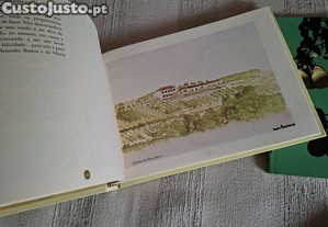 imagem_6