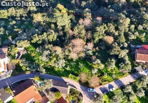 Terreno | Chão Do Bispo | 4990 M2