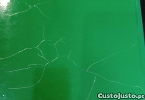 imagem_7