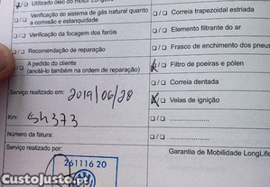 imagem_11