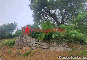 imagem_11