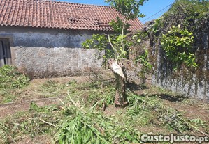 imagem_16