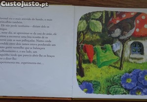 imagem_3