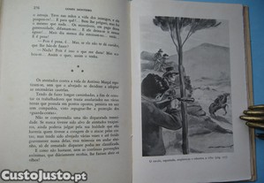 imagem_6