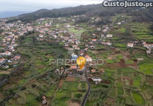 imagem_11