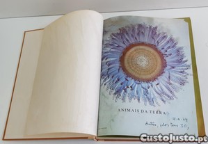 imagem_4