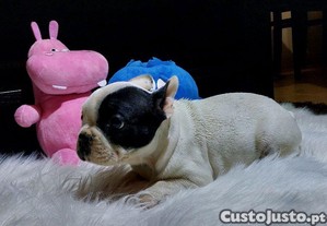 imagem_7