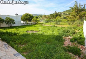 imagem_27