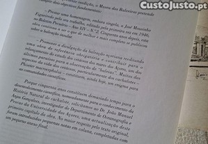 imagem_8