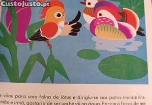 imagem_4